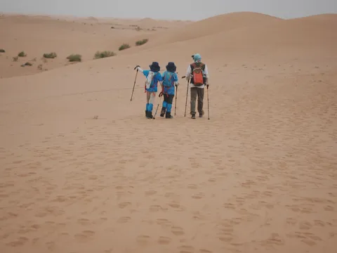 伙伴们一起走向远处的沙丘