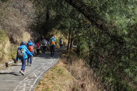营员结伴走进山间步道